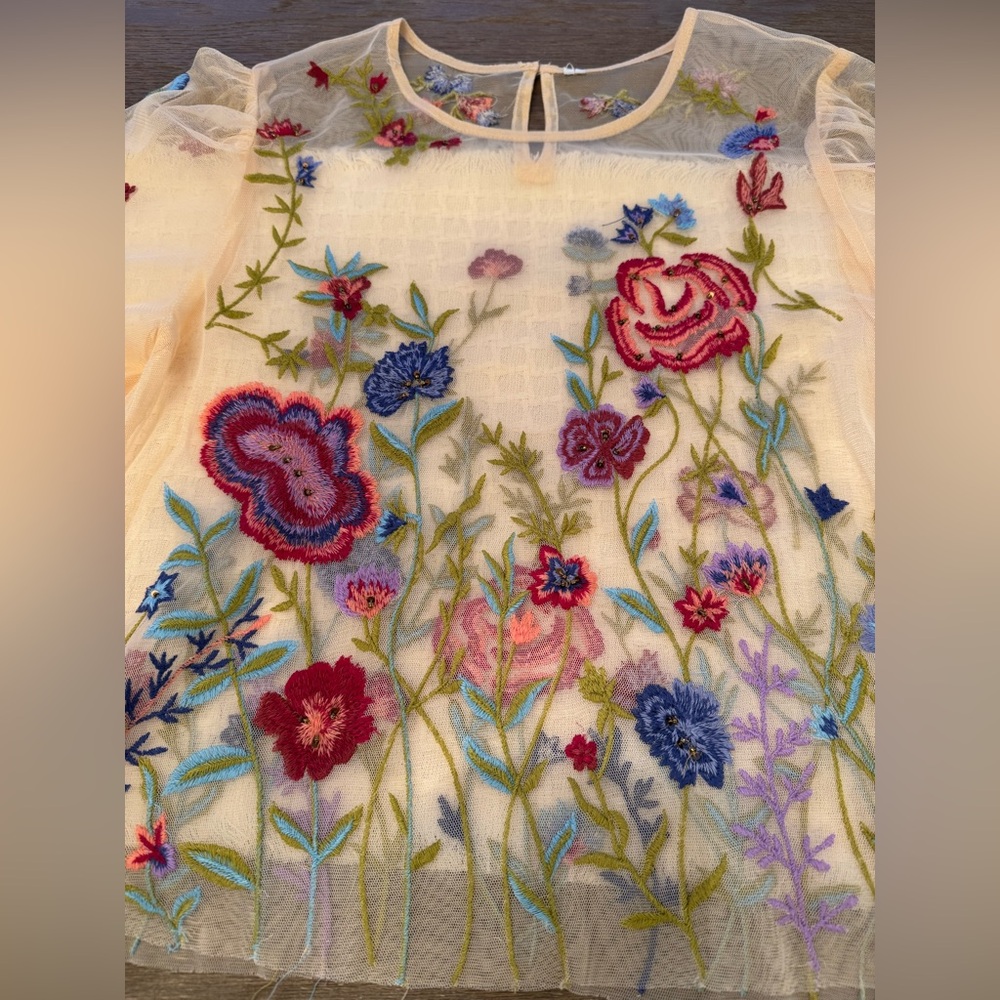 BY ANTHROPOLOGIE LONG-SLEEVE APPLIQUÉ MESH TOP - Picture 6 of 16